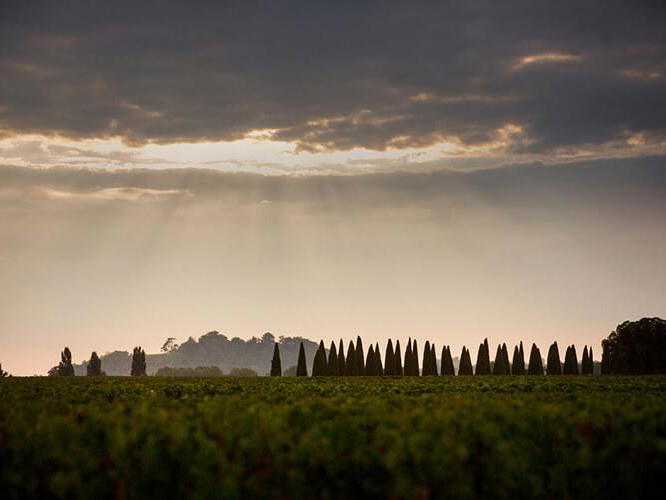 Château Trotanoy, Pomerol, France
