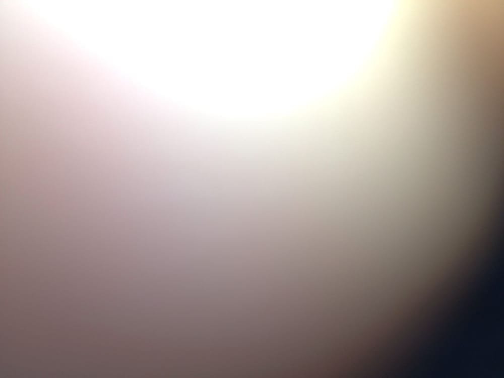 The Immigrant Restaurant at The American Club, Restaurant in Kohler