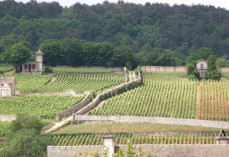 Domaine Coche-Dury, Winery in Meursault