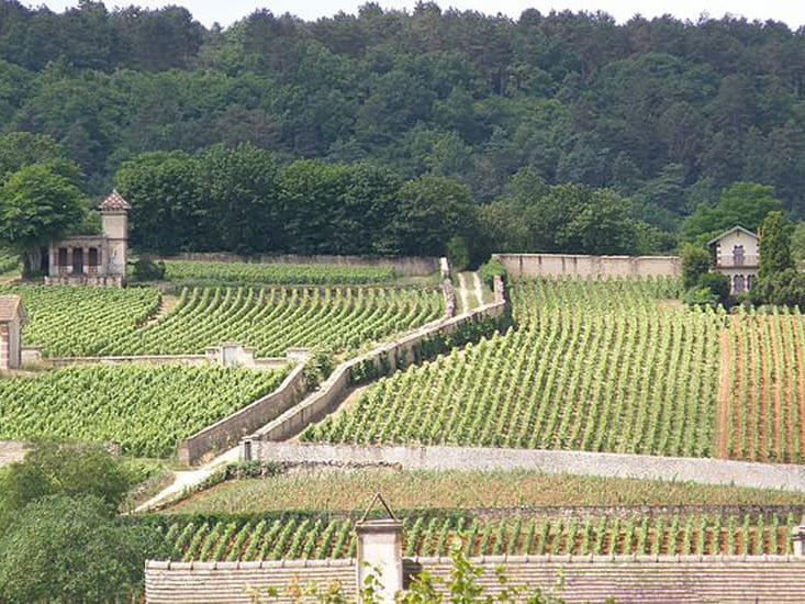 Domaine Coche-Dury, Meursault, France