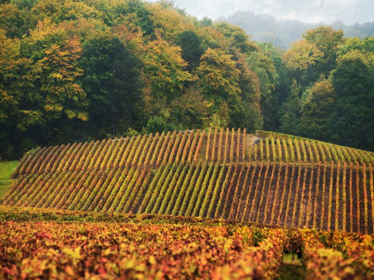 Ruinart, Reims, France