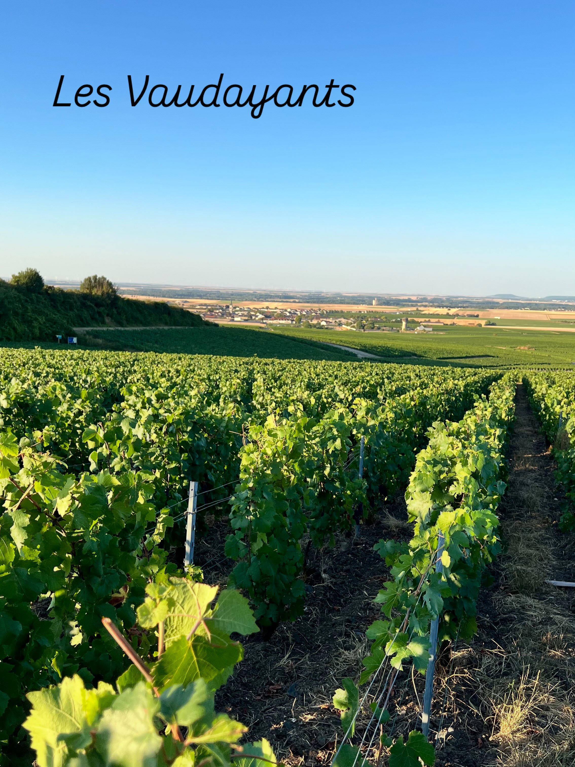 Champagne Georges Remy, Bouzy, France