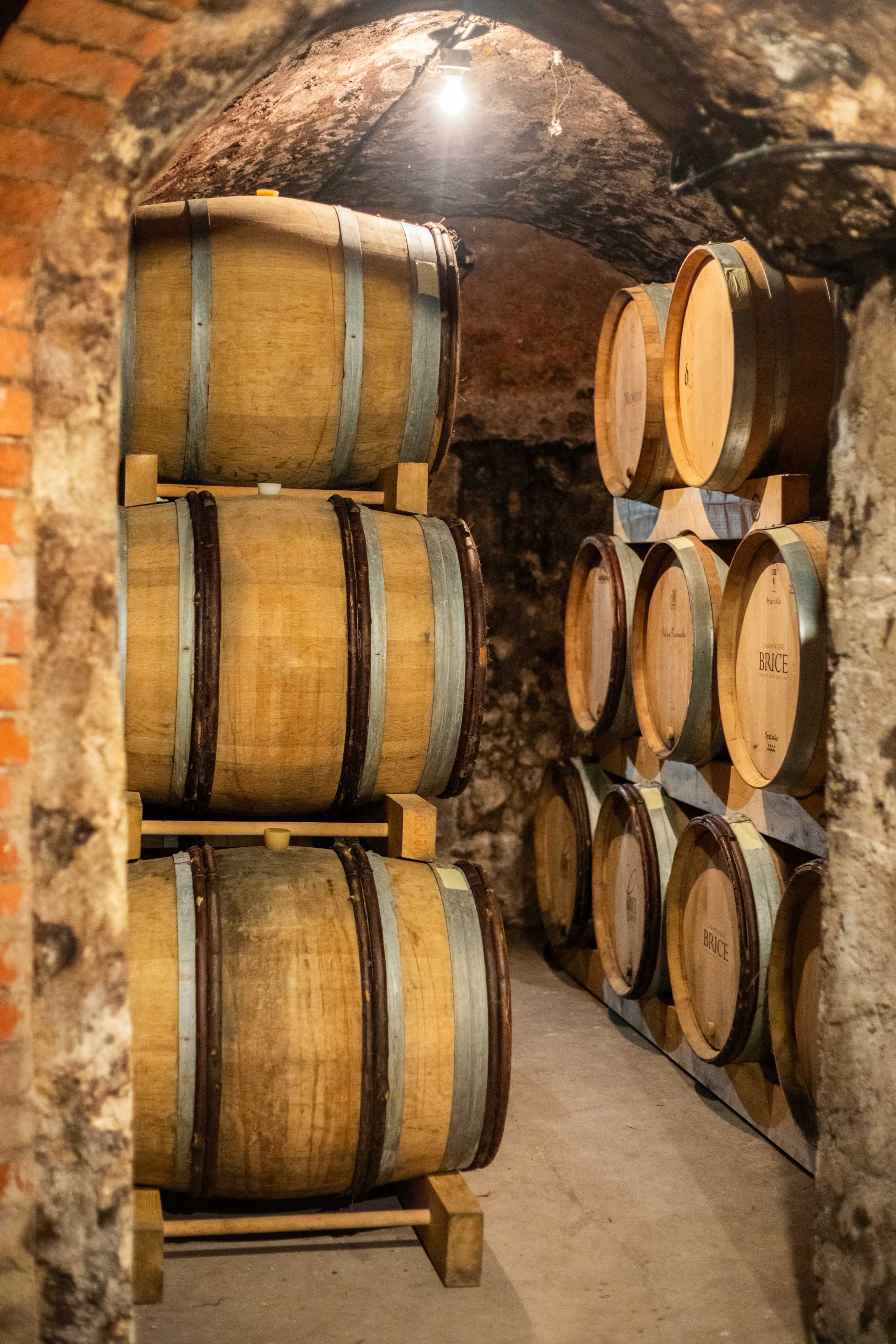 Champagne Brice, Winery in Bouzy