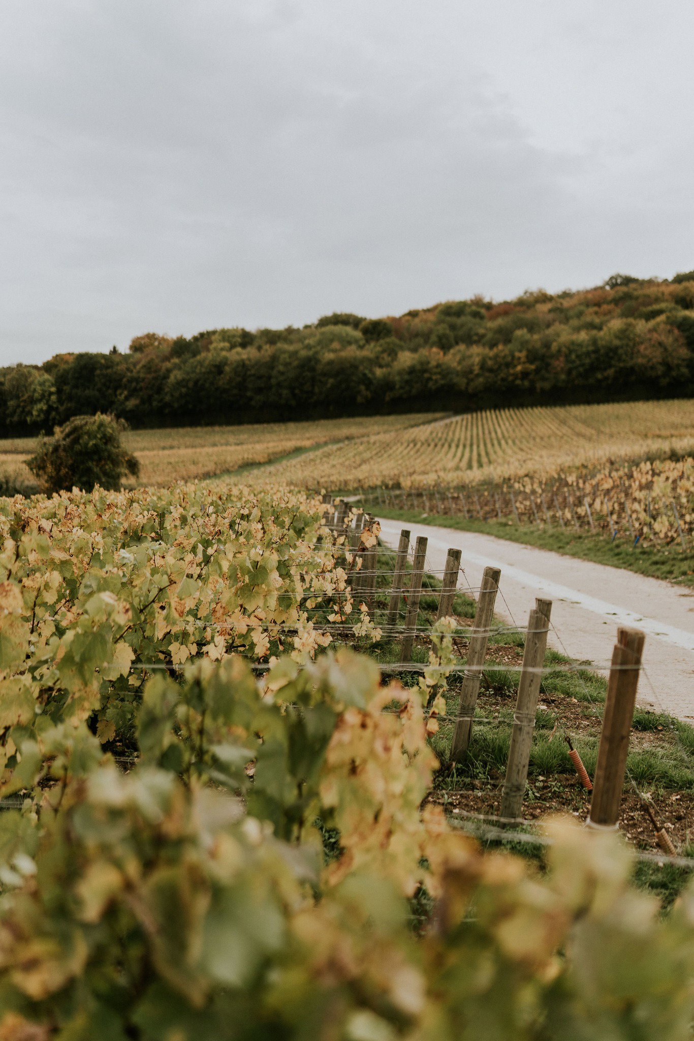 A. Margaine, Villers-Marmery, France