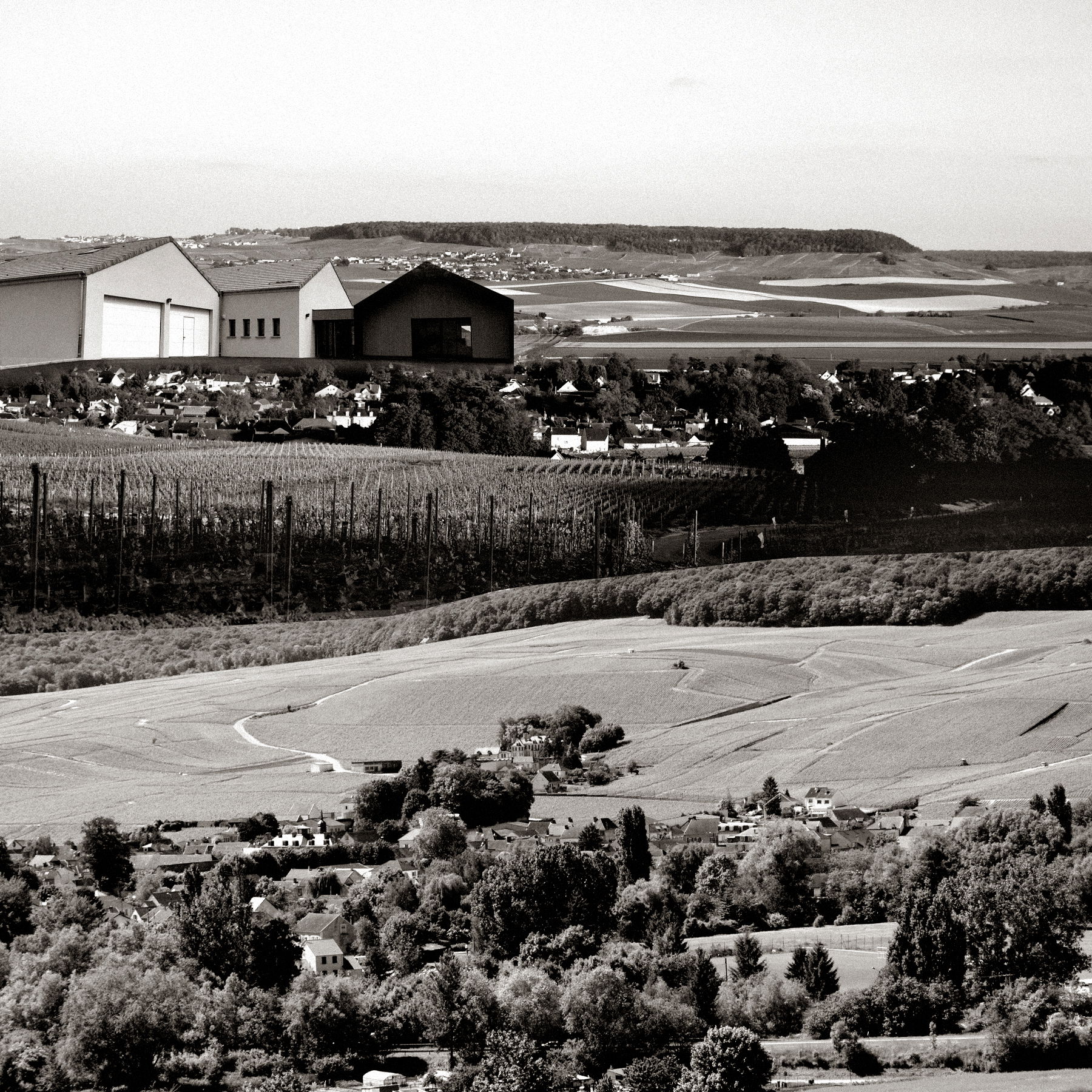 Champagne Jean-Marc Sélèque, Winery in Pierry