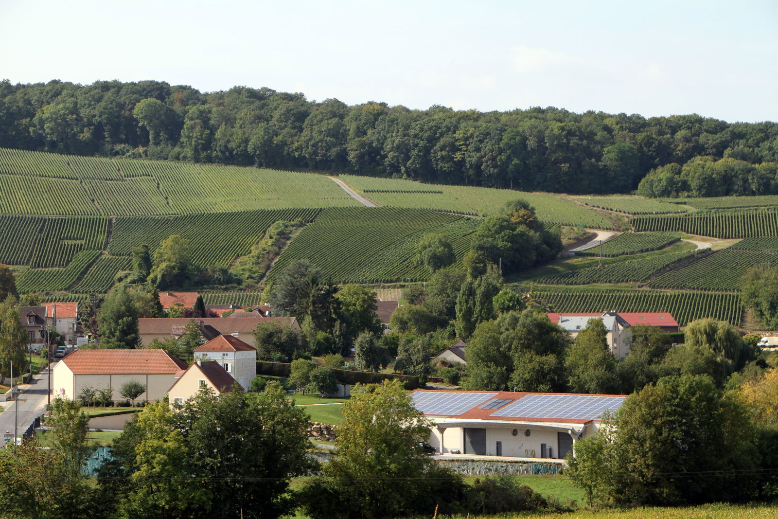 Famille Moussé, Cuisles, France