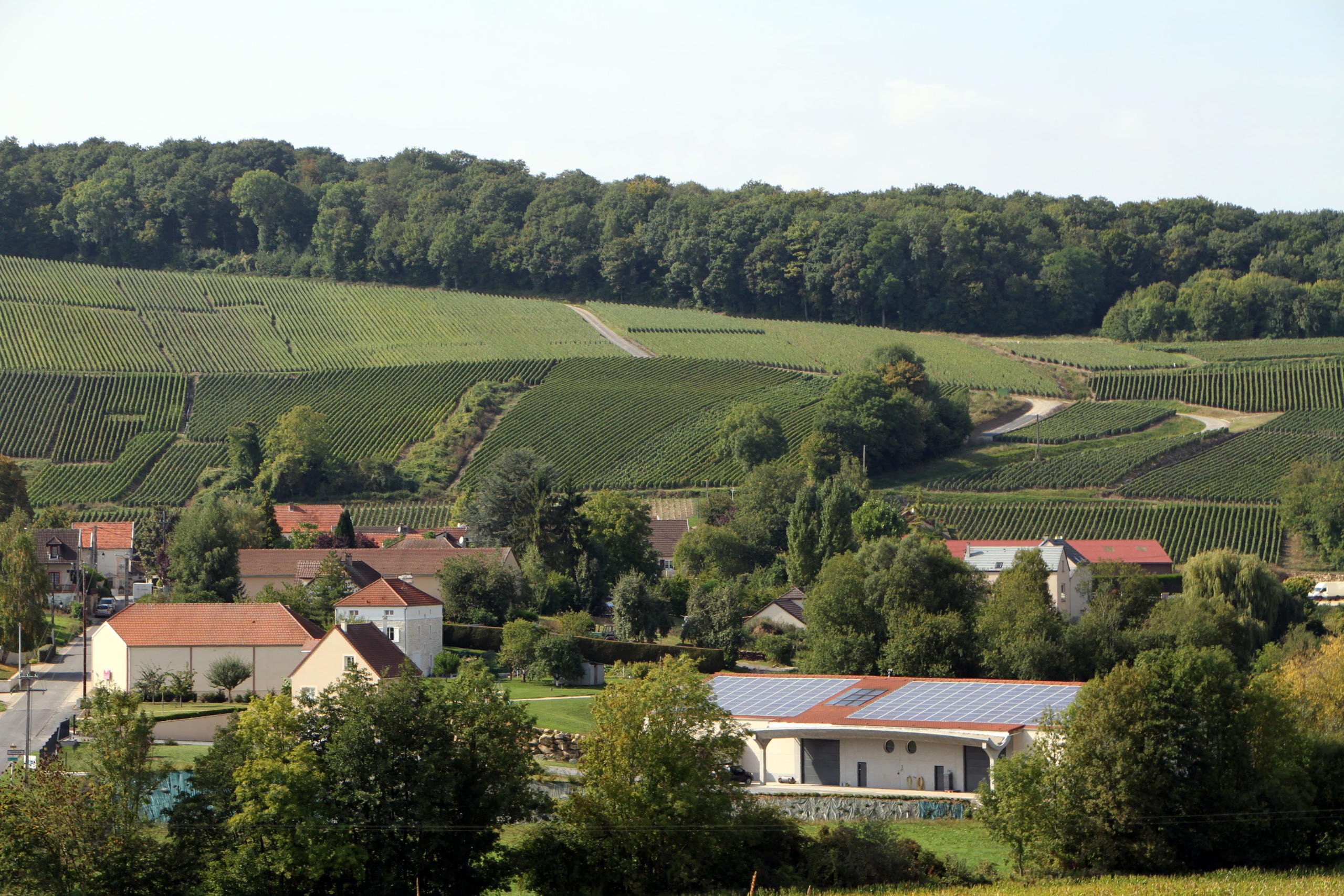 Famille Moussé, Cuisles, France