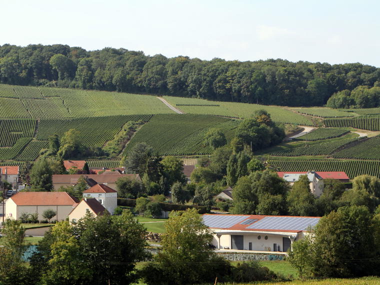 Famille Moussé, Cuisles, France