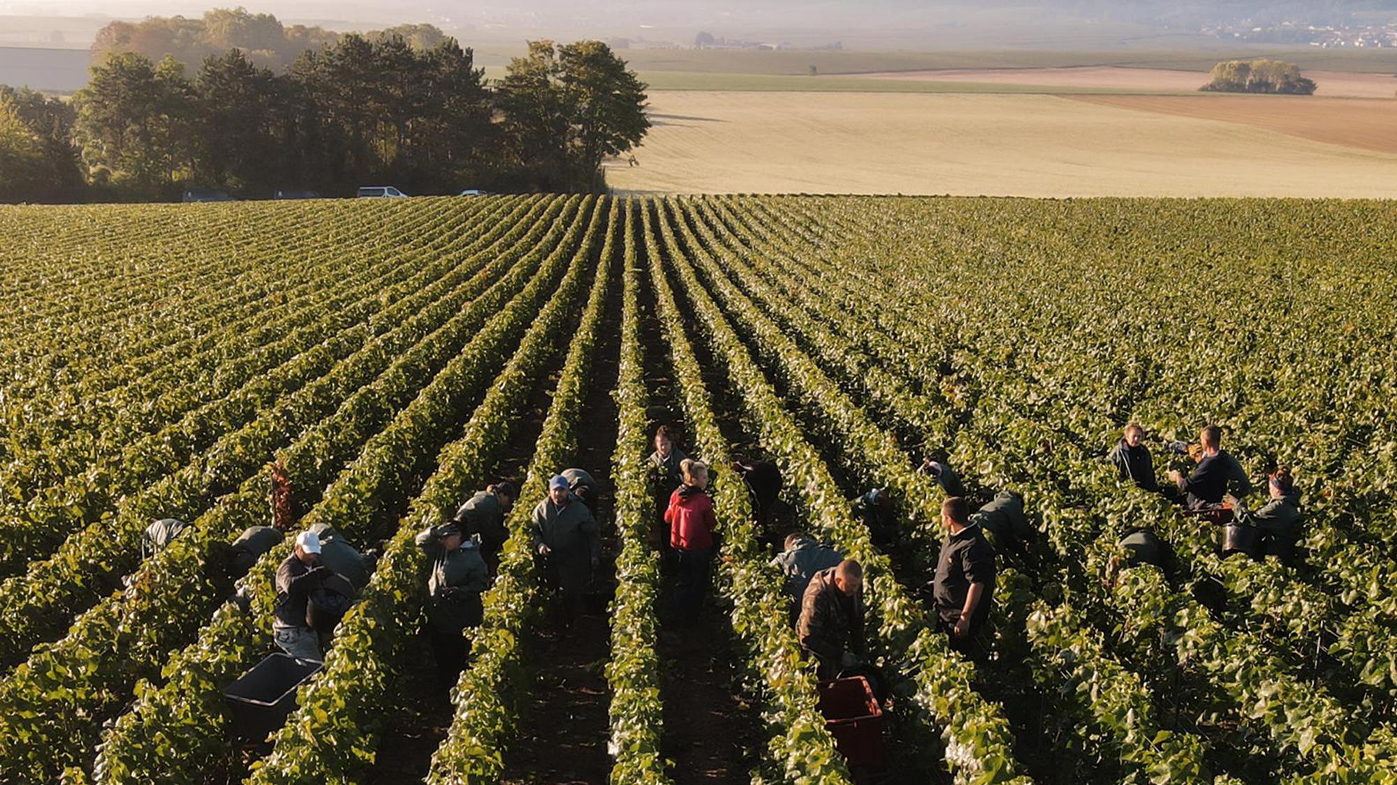 Domaine Les Monts Fournois winery in Ludes, France