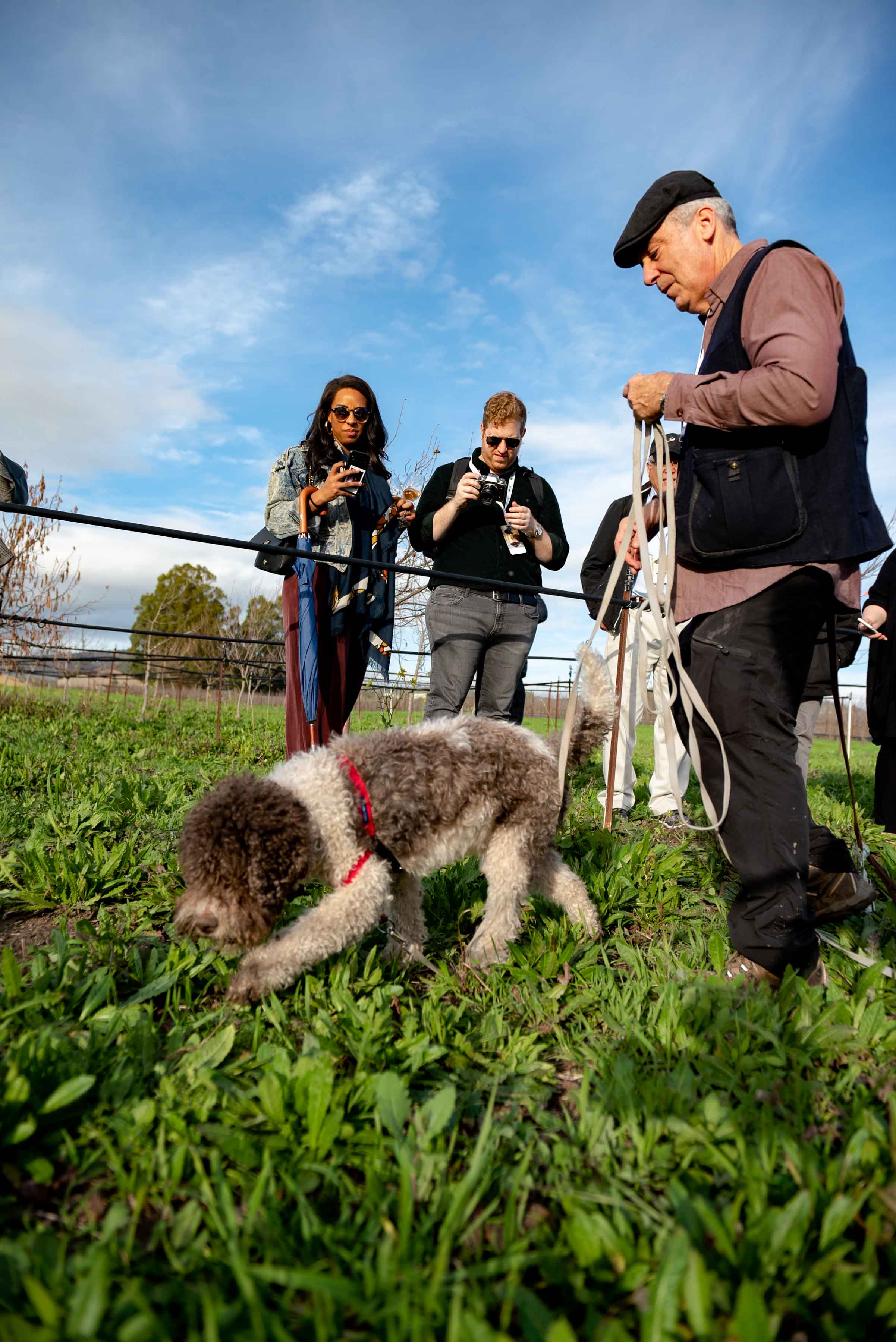 Napa Truffle Festival