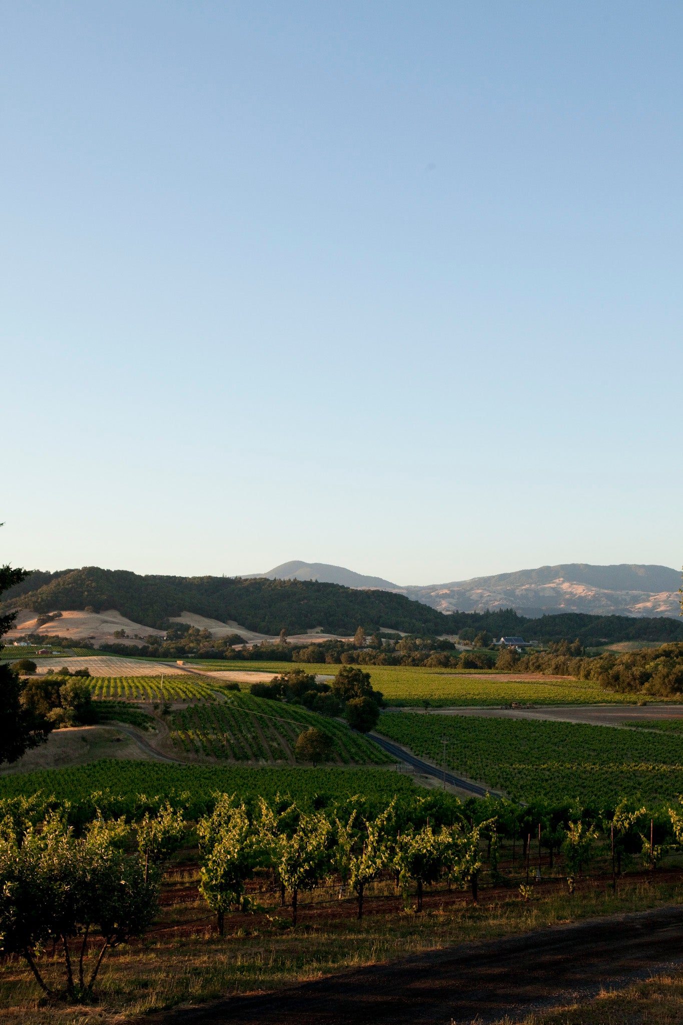 June 28, 2026 | Ridge Vineyards at Lytton Springs