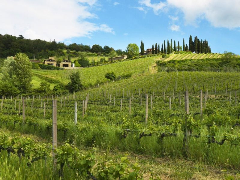 Tuscan pioneer Querciabella with winemaker Manfred Ing
