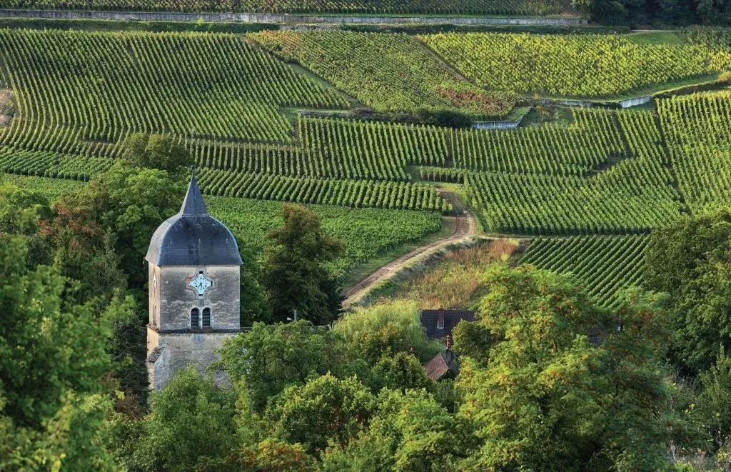 Domaine Georges Roumier Les Amoureuses Dinner