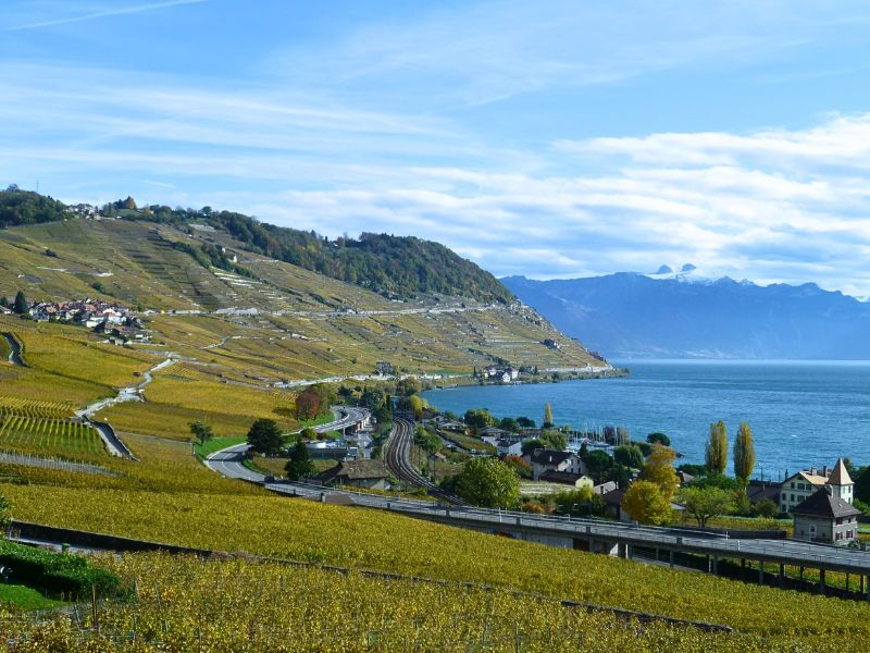 Switzerland: Meet the winemakers tasting with Simon Hardy