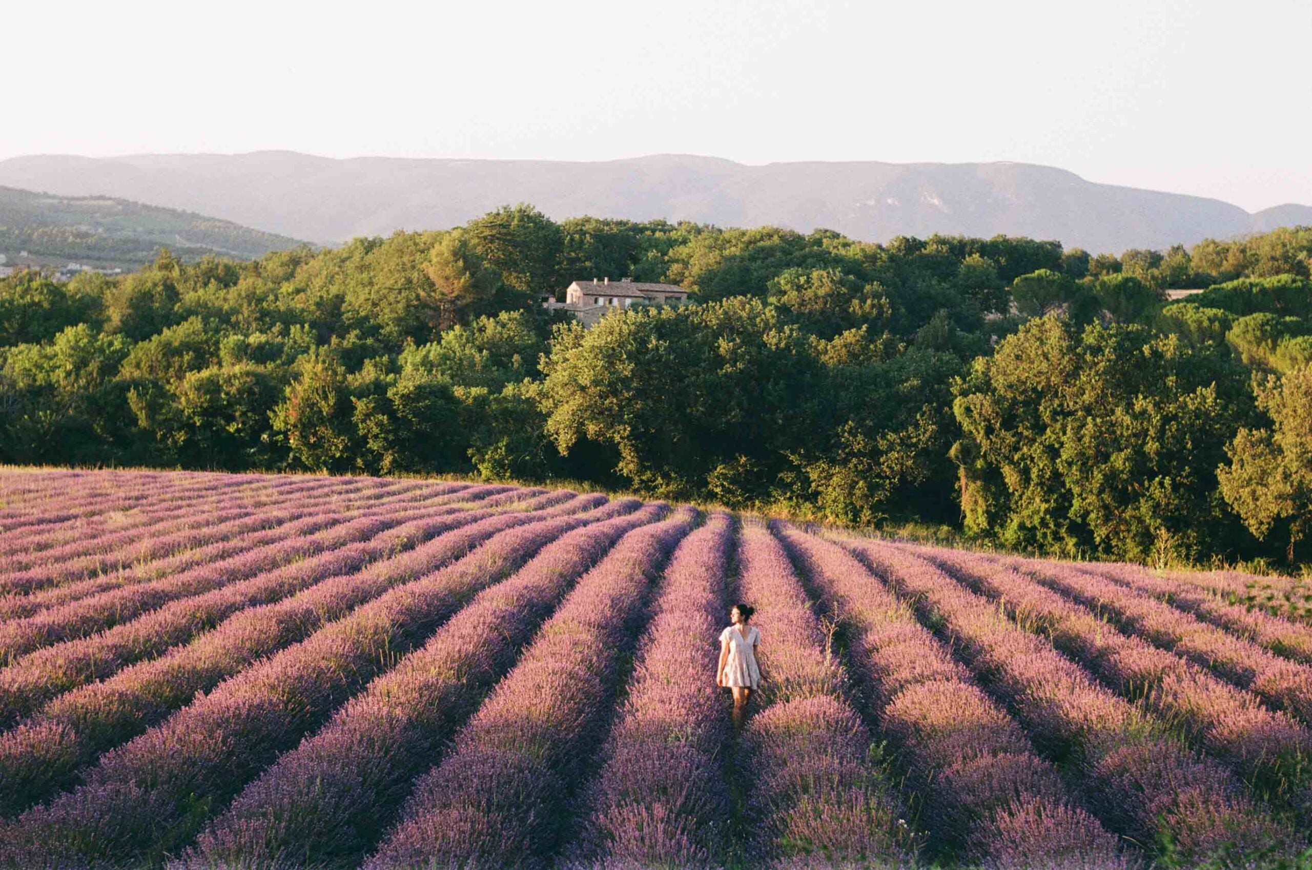 The Provence Retreat — Provence Countryside
