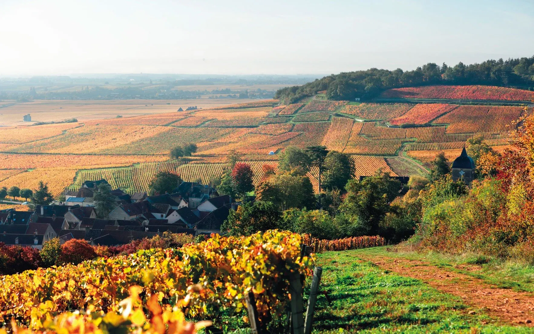 Changing Faces of Burgundy Seminar