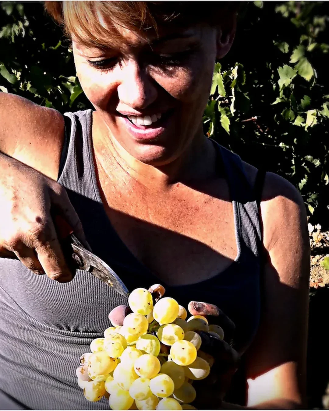 Marilena Barbera
