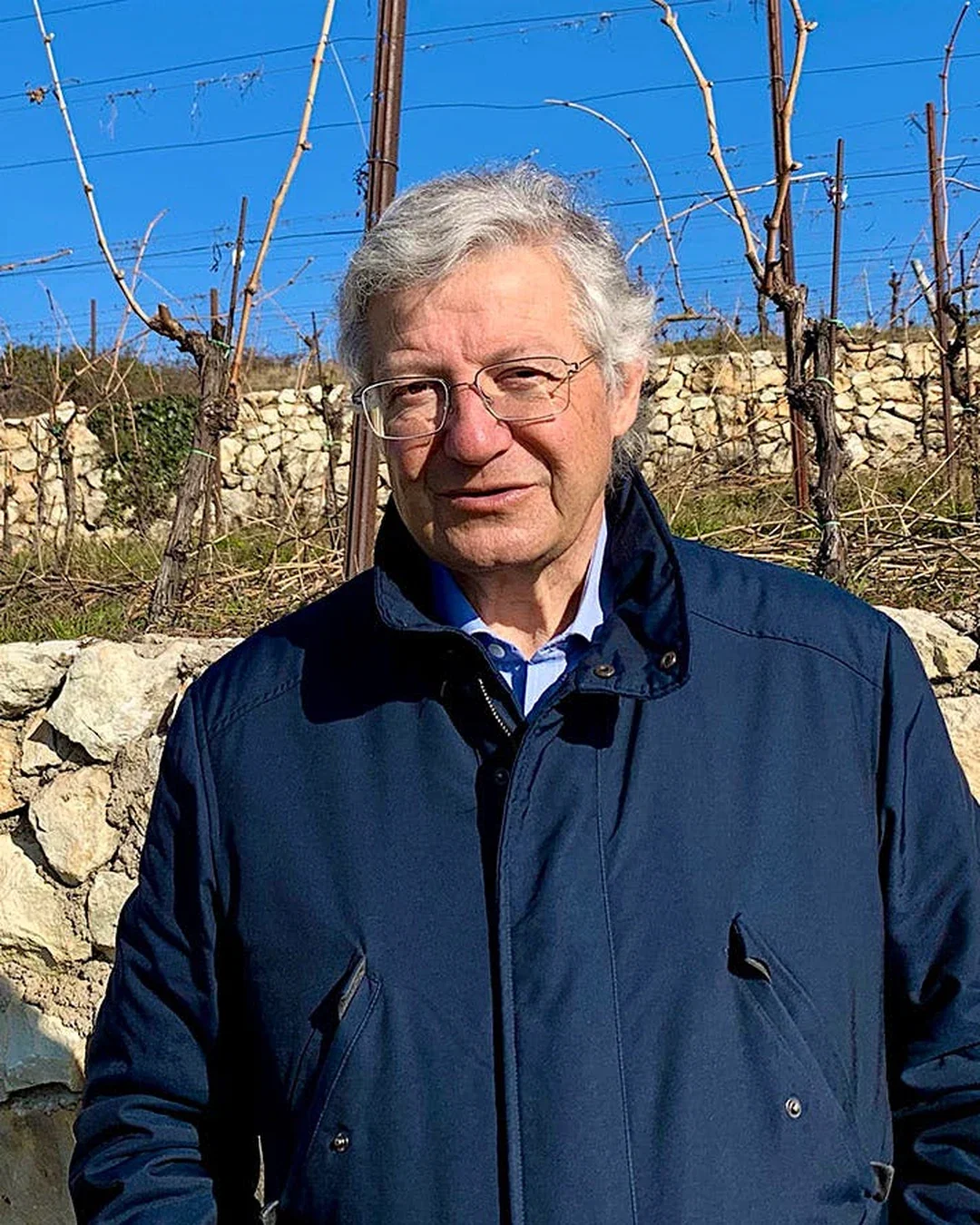 Stefano Cesari