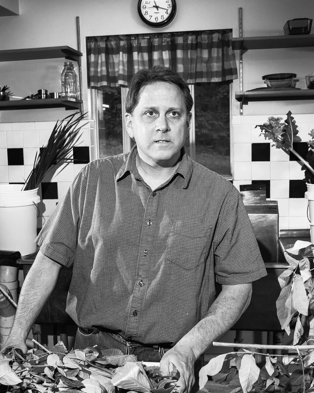 Damon Baehrel