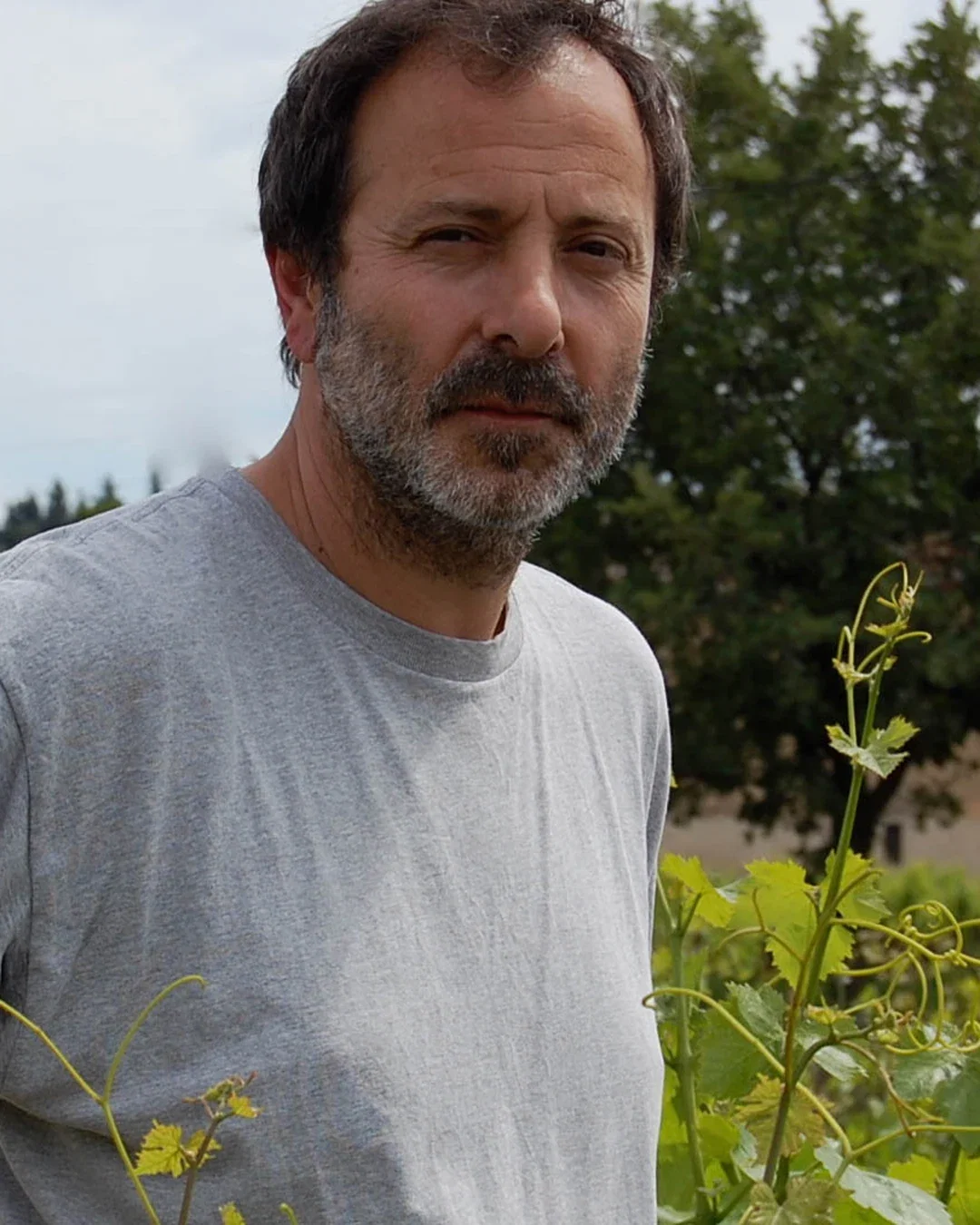 Jean-Paul Daumen