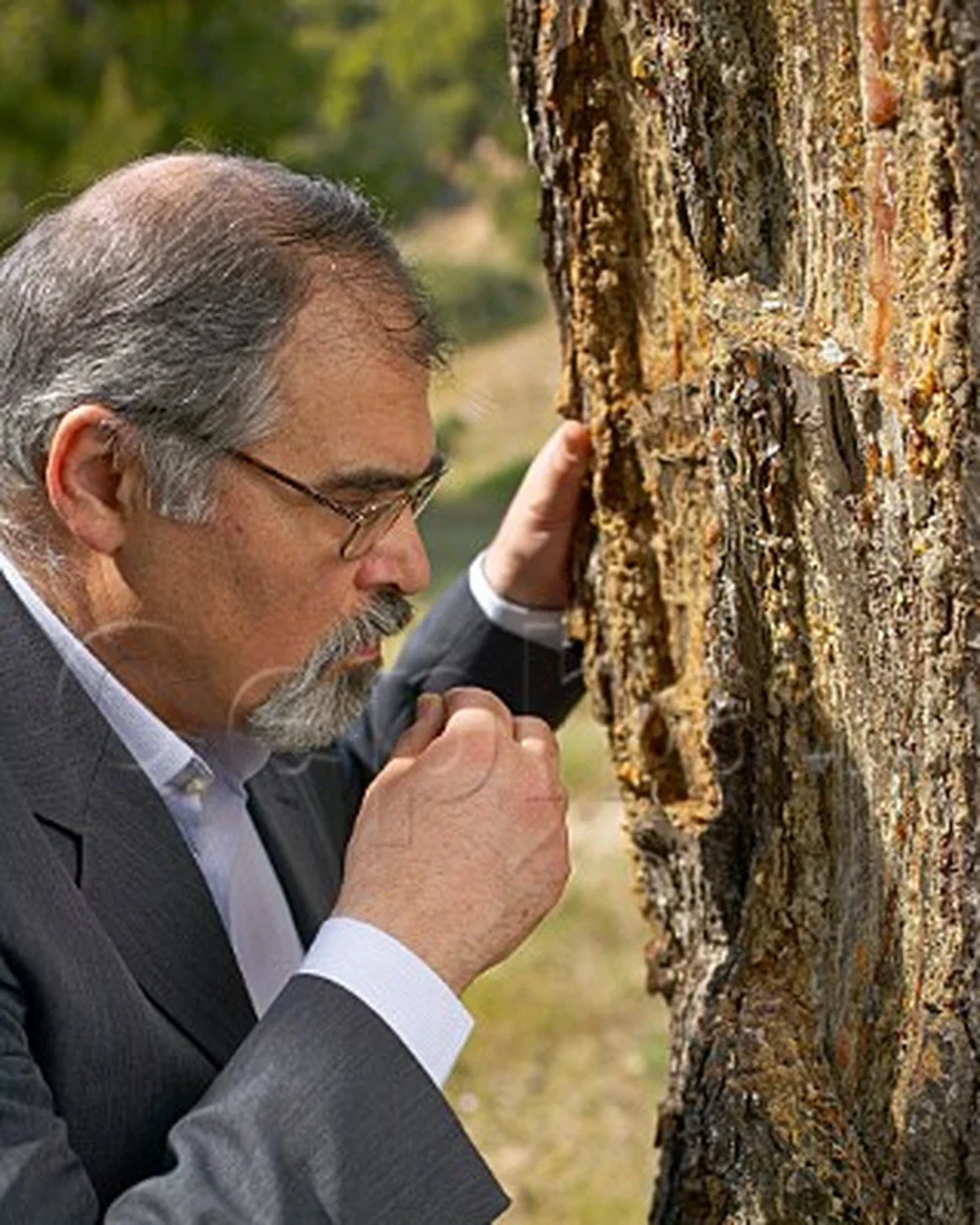 Stelios Kechris