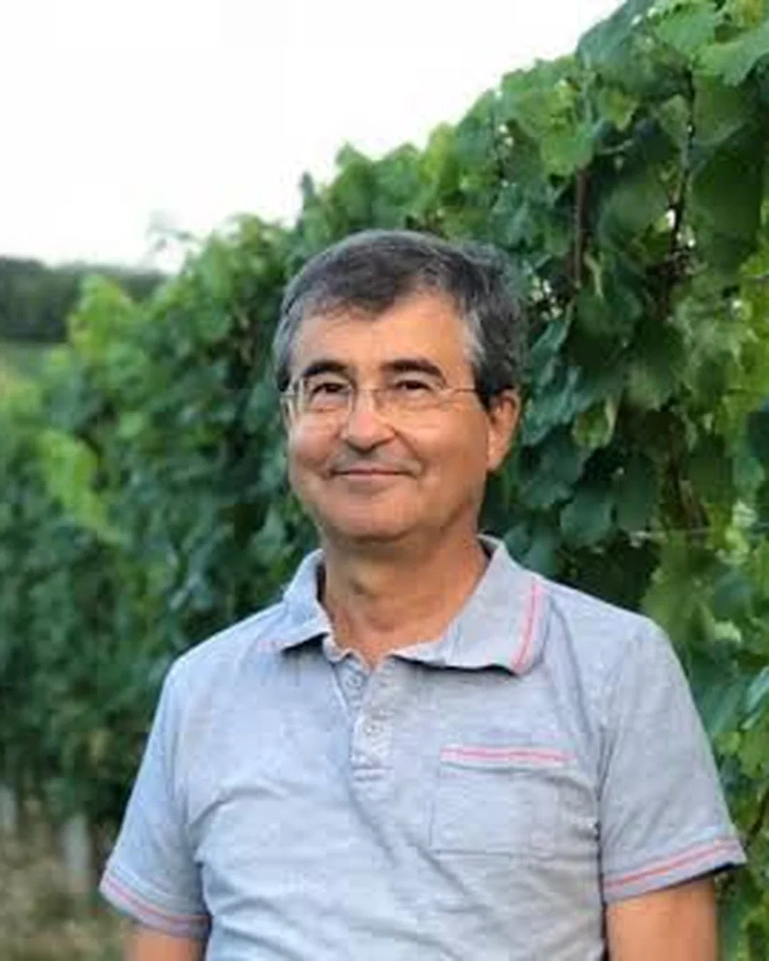 Stefano Sgarzi