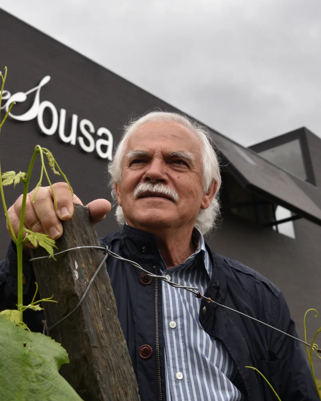 Domingos Alves de Sousa