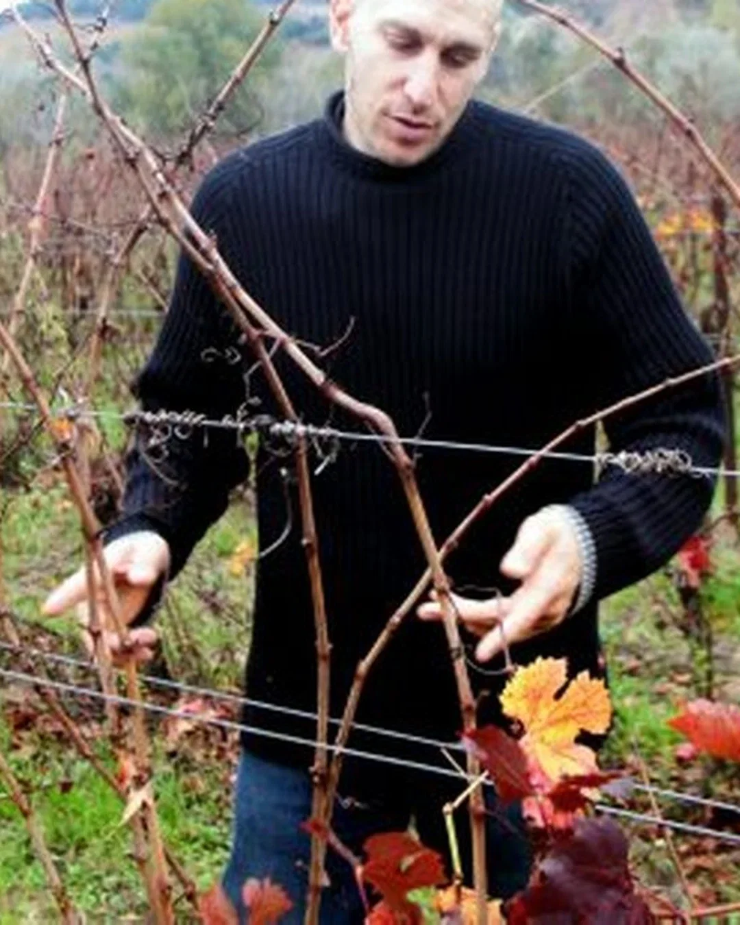 Franck Schisano