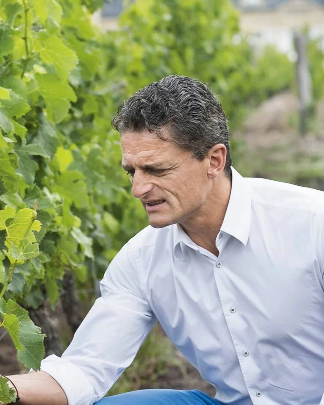 Laurent Cisneros