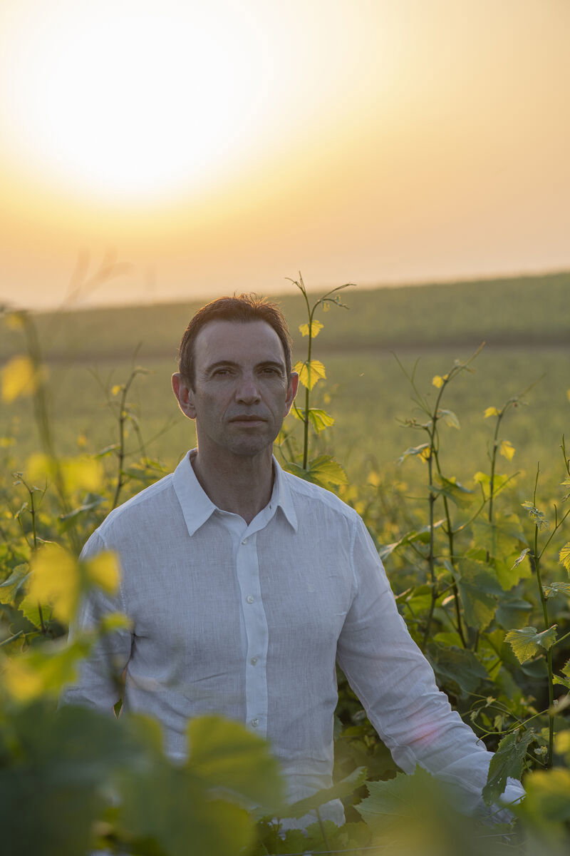 Frédéric Panaïotis