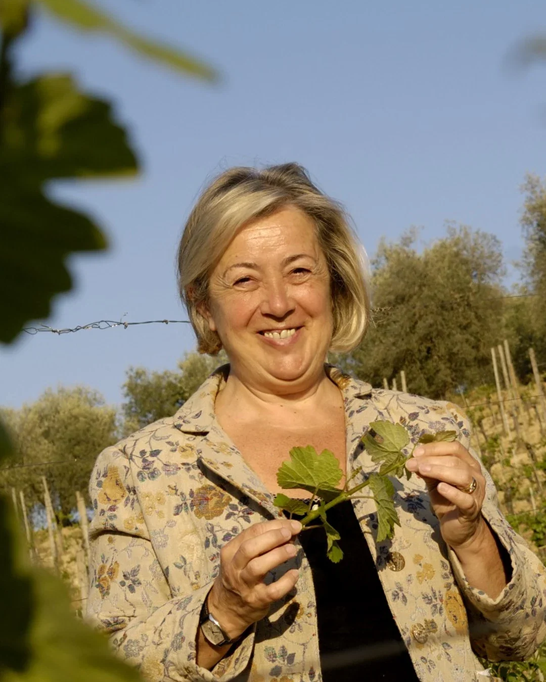 Donatella Cinelli Colombini