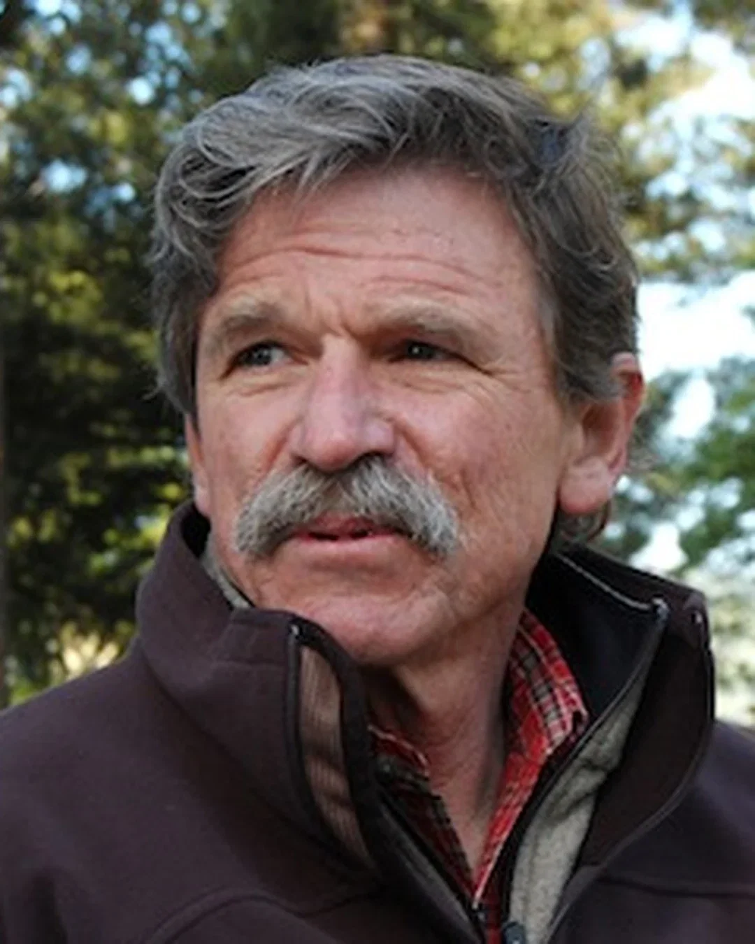 Bob Swain