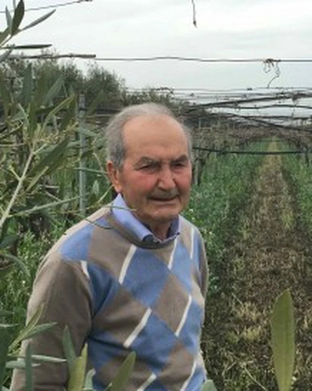 Raffaele Di Tuccio