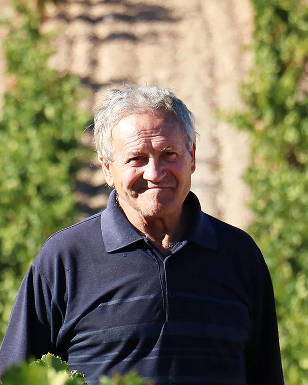 David Forcada