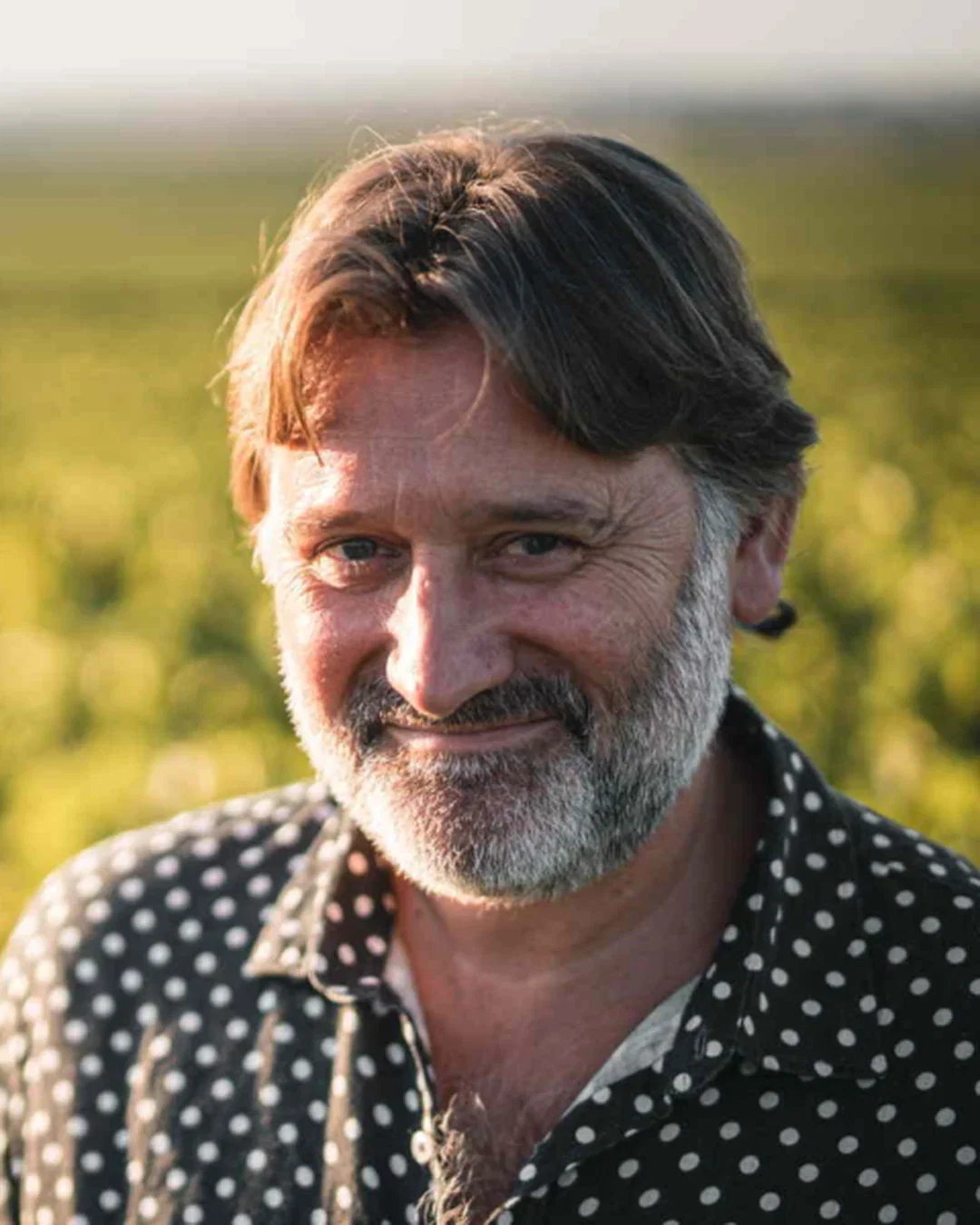 David Pehu