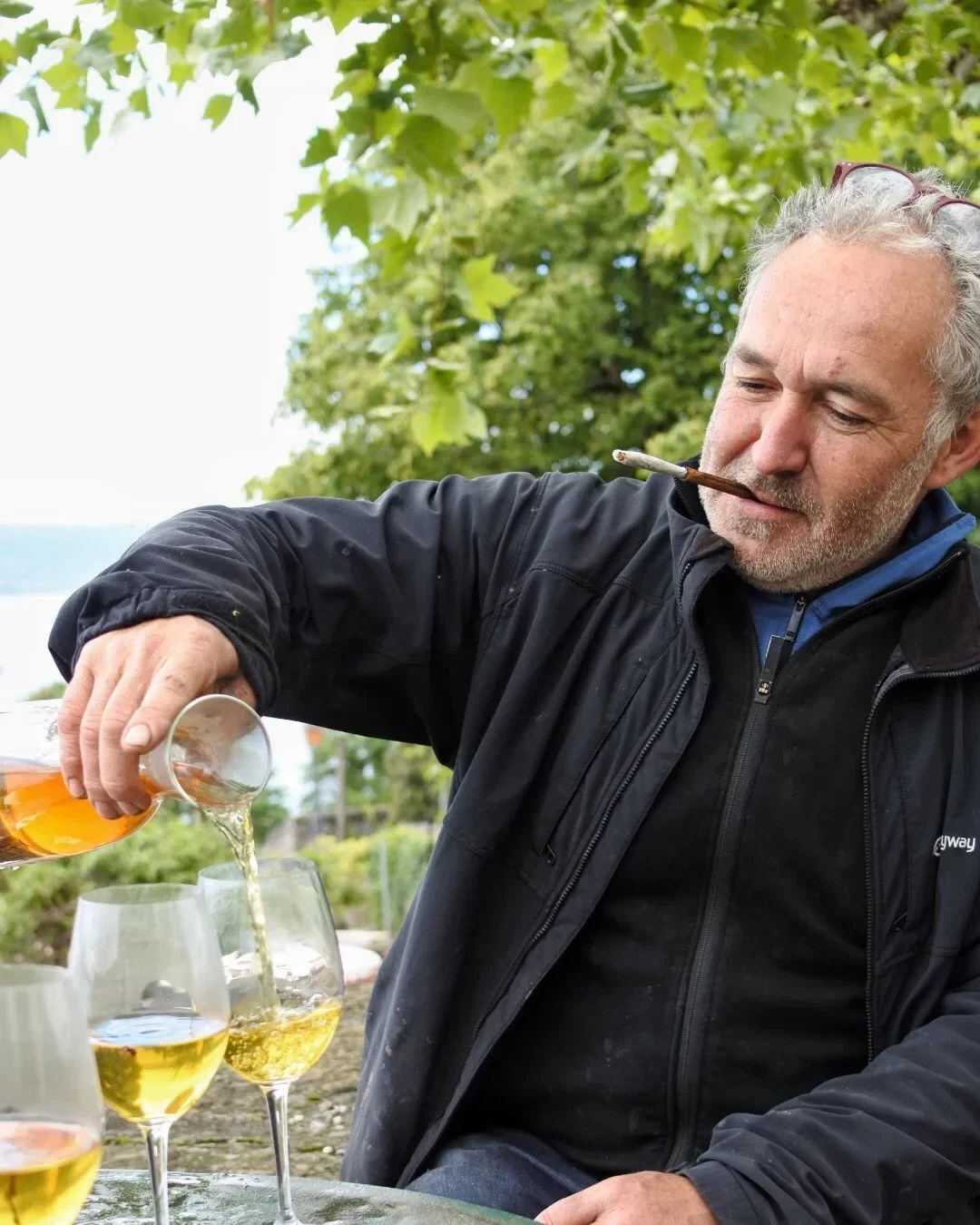 Gilles Wannaz