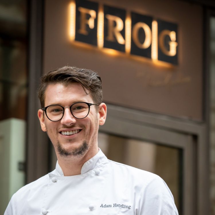 Adam Handling