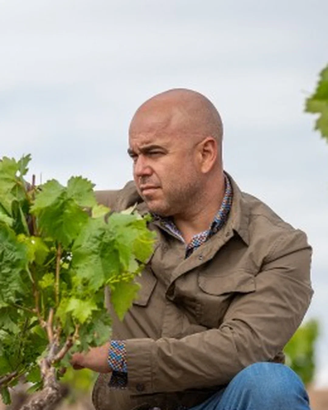 Enrique Andrades