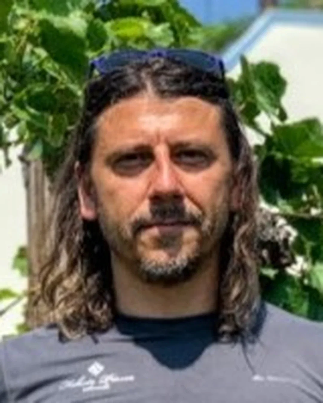 Gábor Riesz