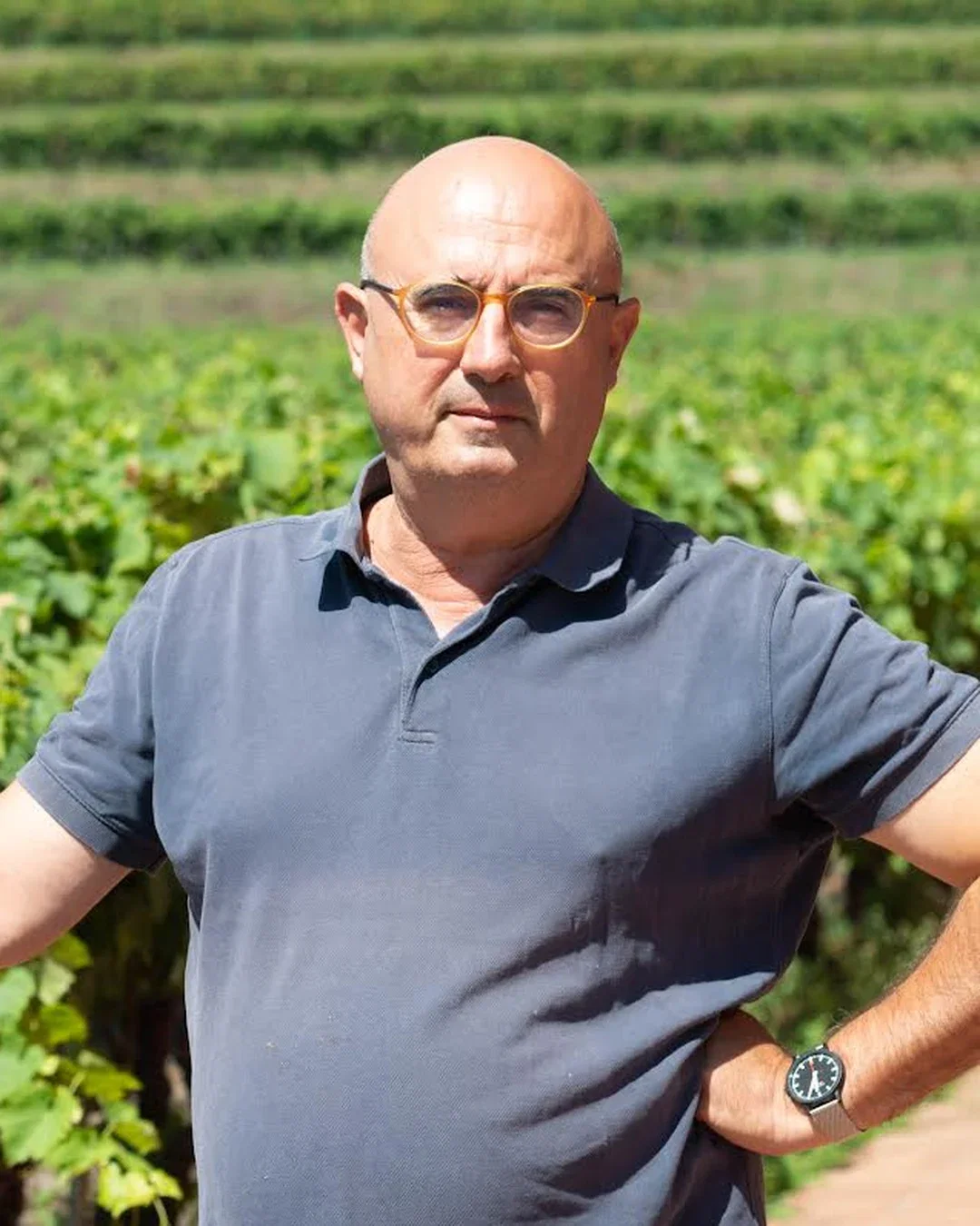 Michele Scammacca del Murgo