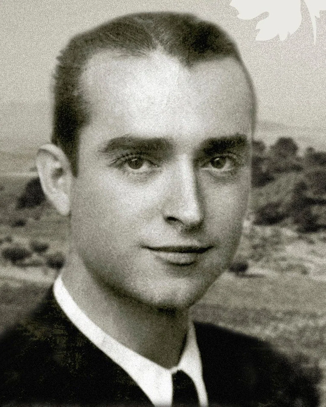 Viñas Familia Gil