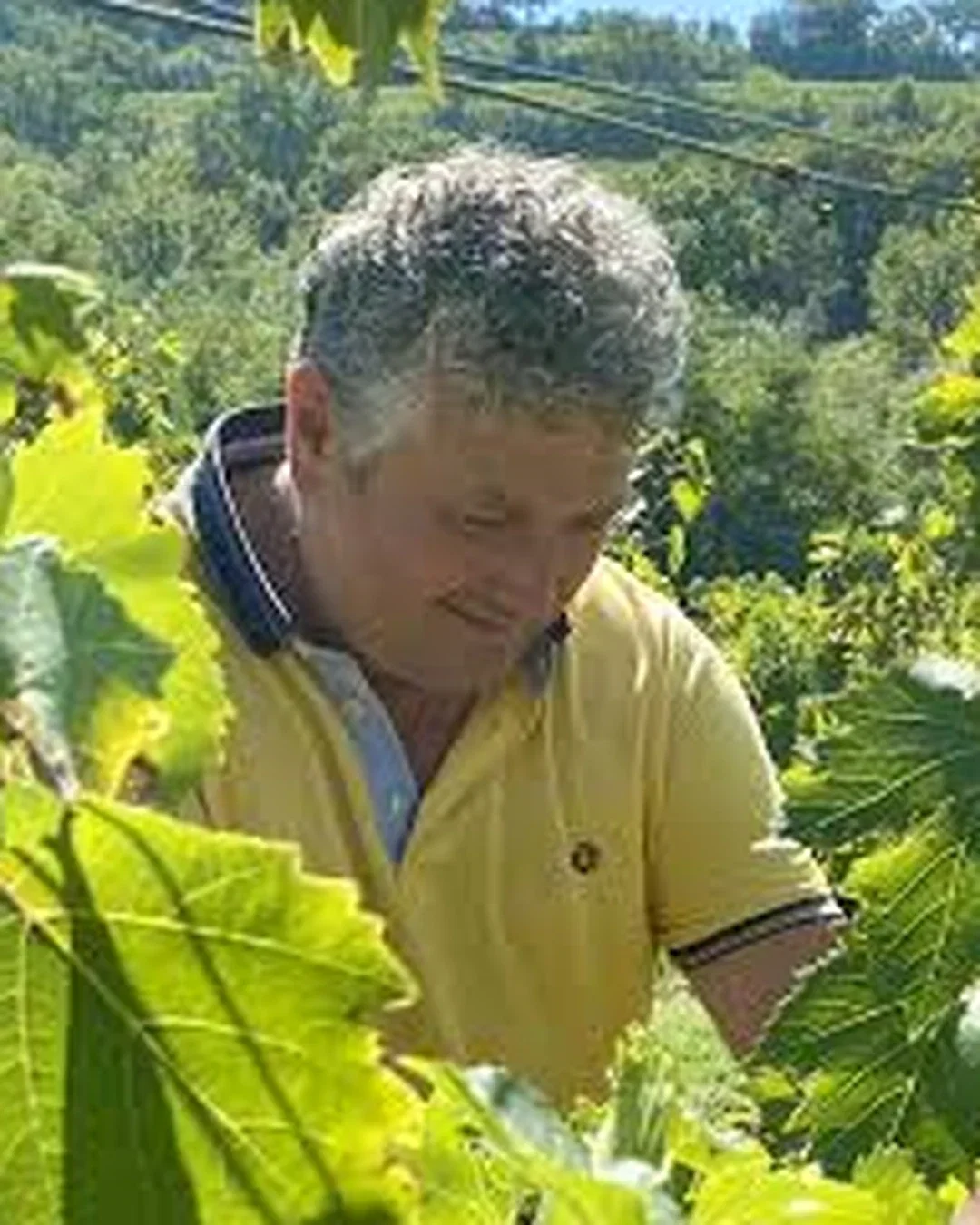 Lorenzo Sassetti
