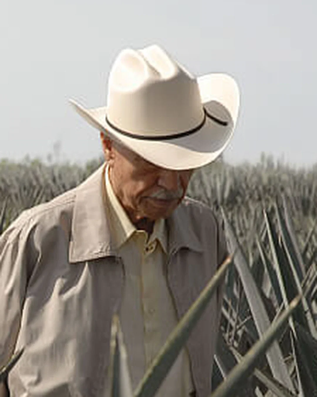 Don Julio González