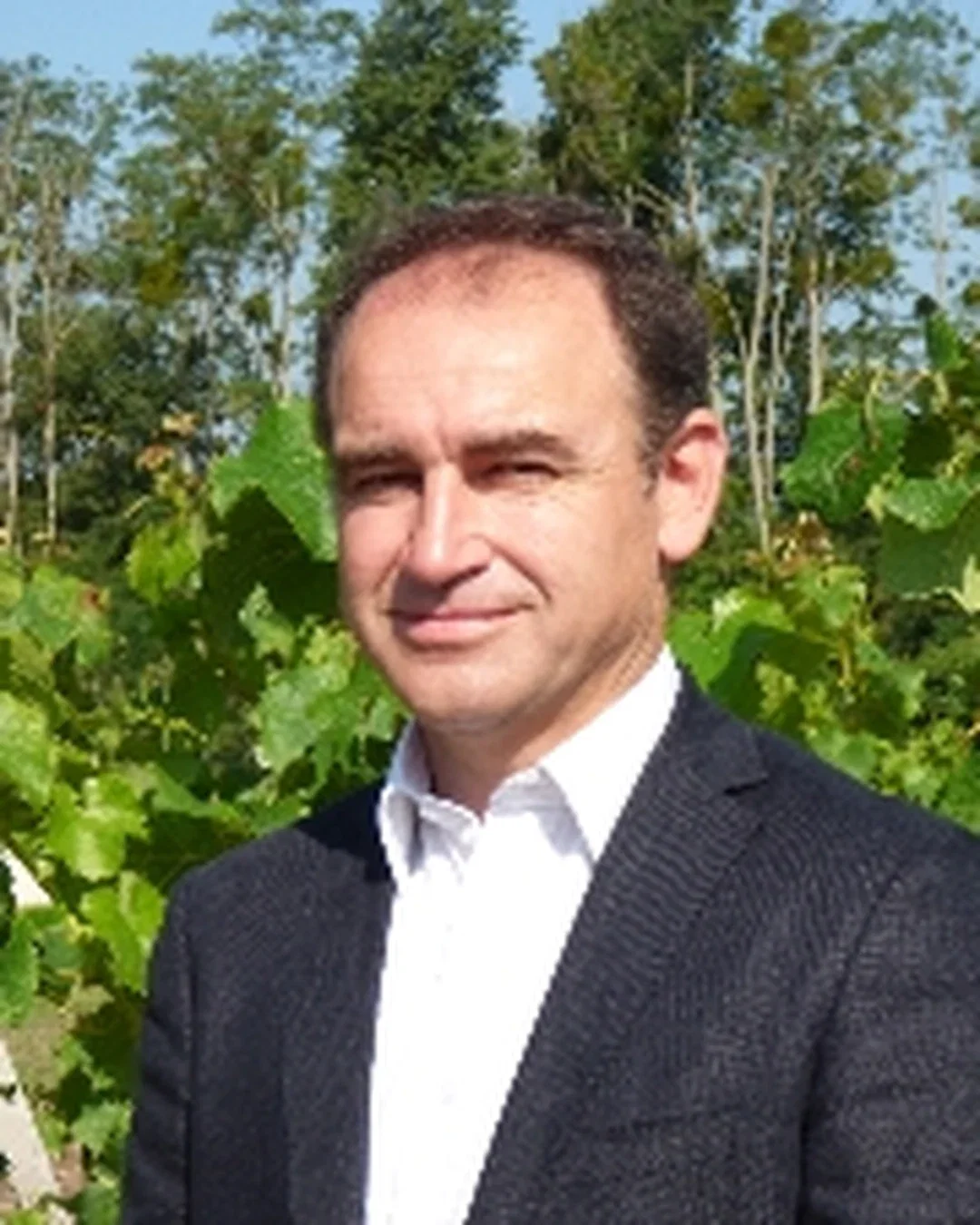 Dominique Guignard