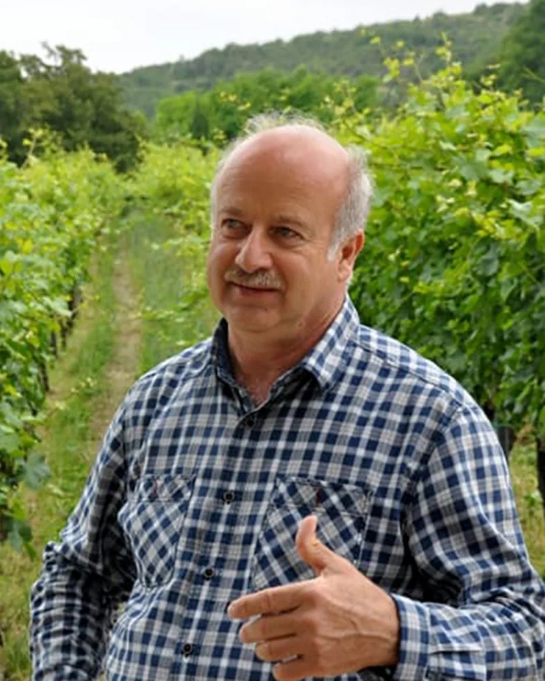 Franco Zanovello