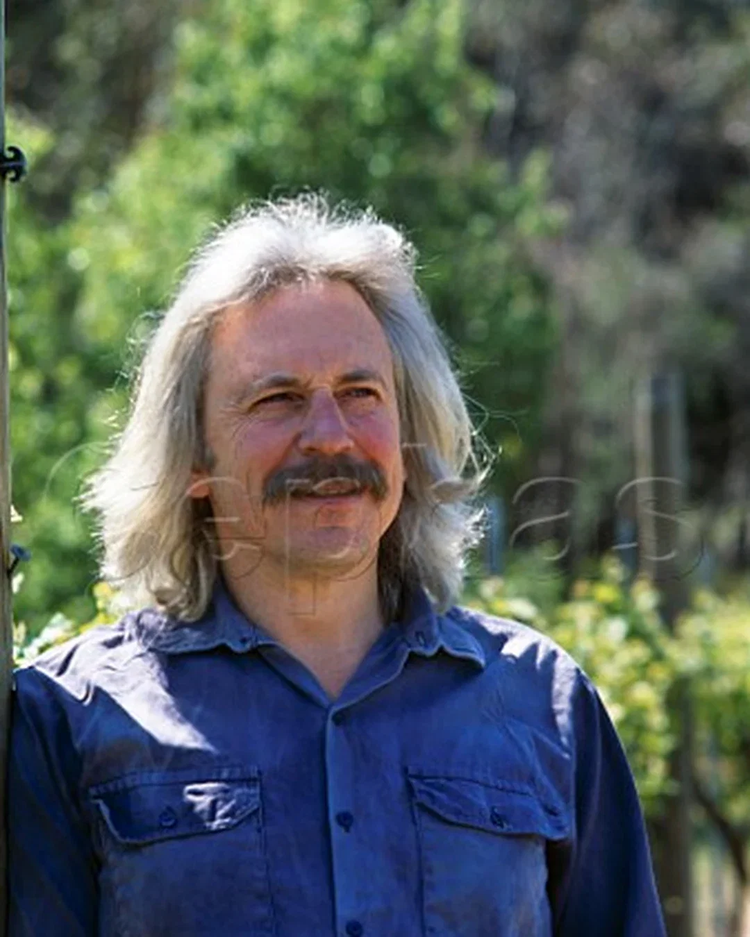 Stephen George