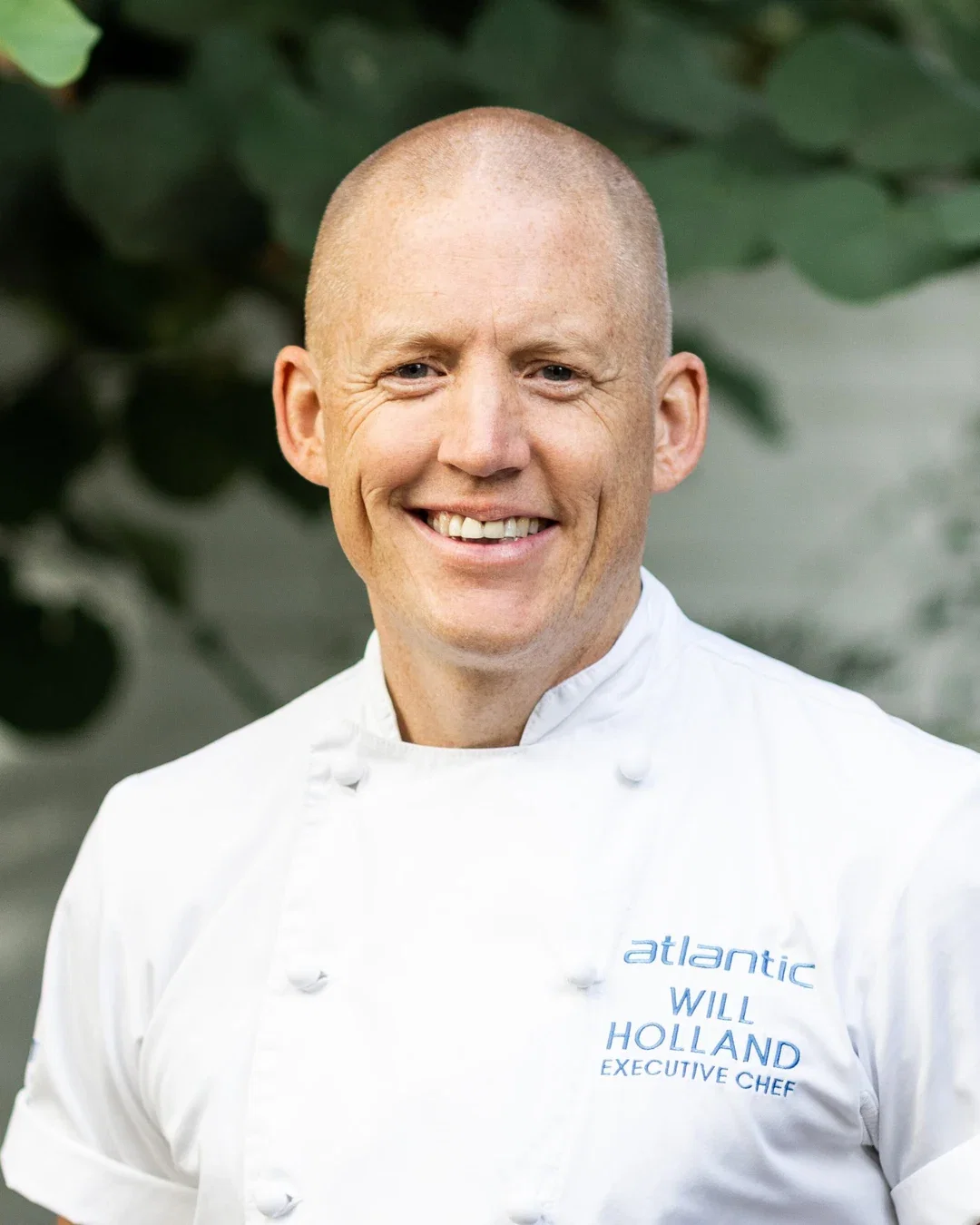 Will Holland