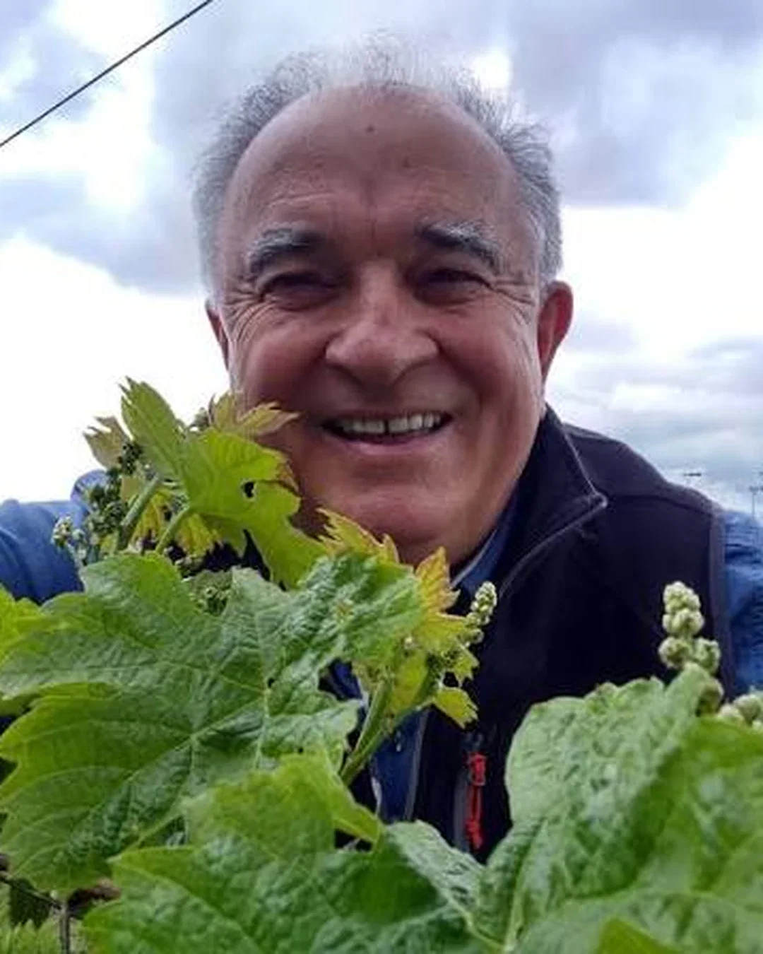 Roberto Berioli