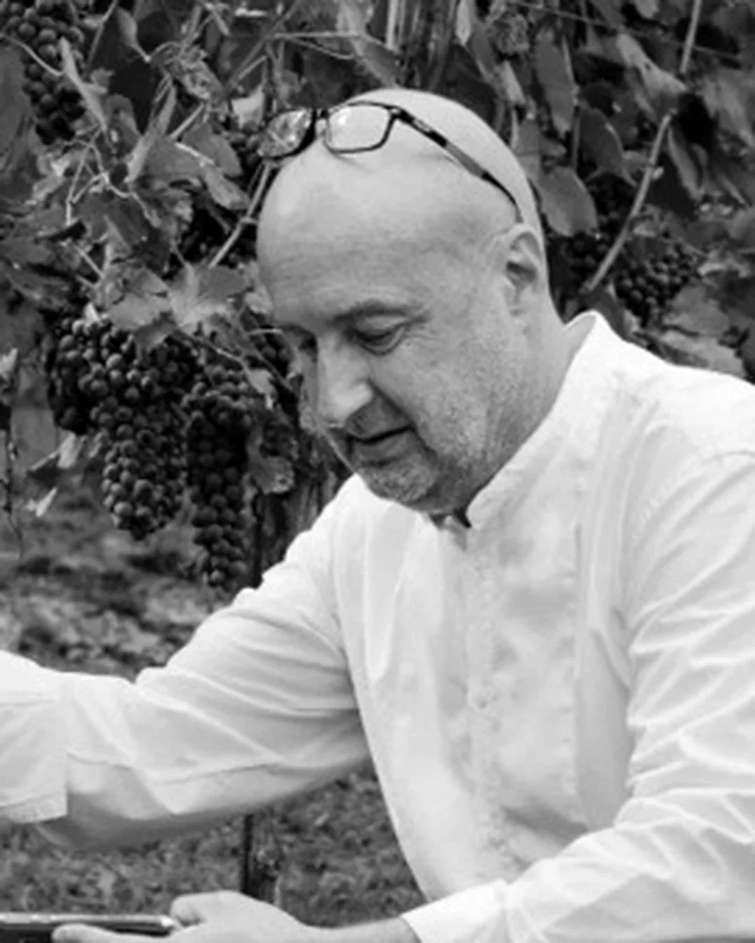 Enrico Orlando