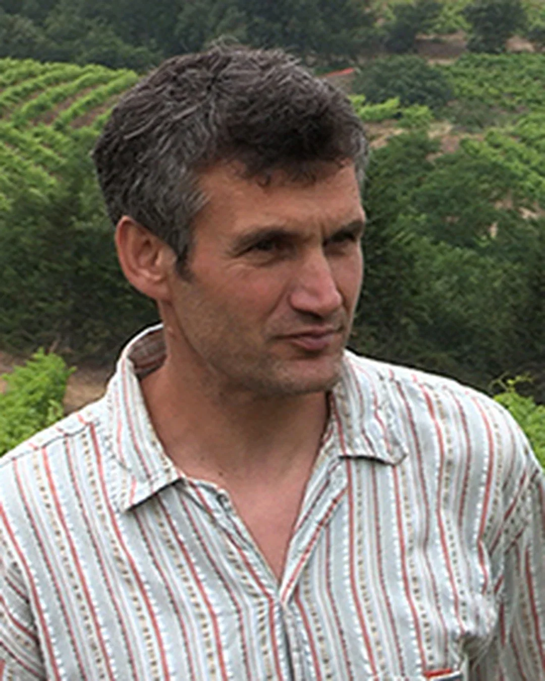 Édouard Laffitte